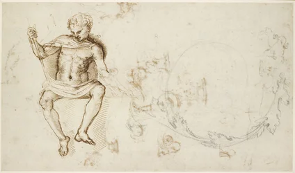 Recto: Studien eines sitzenden Mannes und von Akanthuslaub, WA1846.147